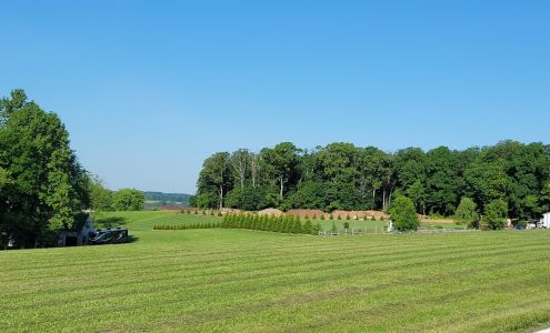 Burnie's Deer Processing