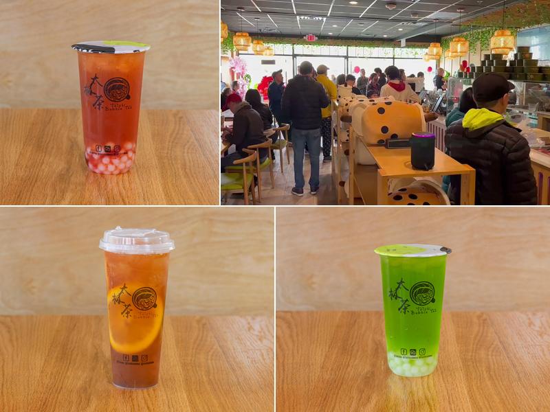 Taichi Bubble Tea - Poke Bowl & Ramen