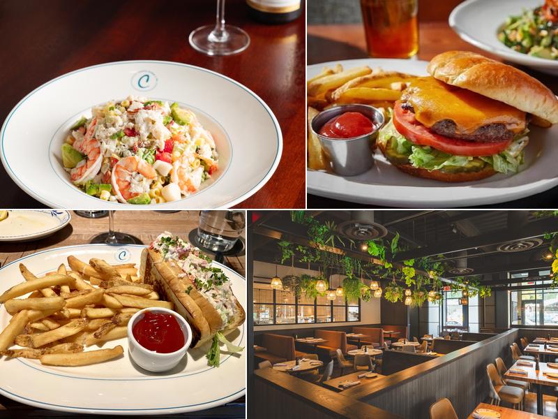 Catalina Kitchen + Bar 1942 E 7th St #106, Charlotte