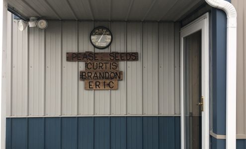 Pease Seeds Shenandoah