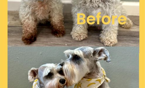 BRITTS SALON Elizabeth City North Carolina 