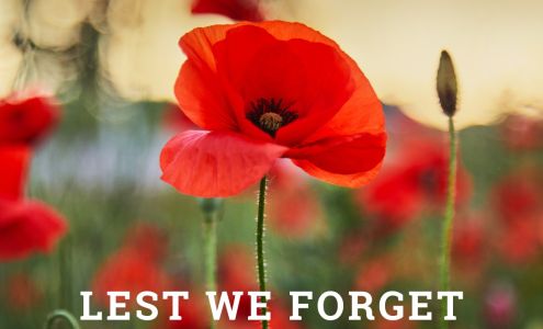 Dawson & Keenan Insurance Ltd Wawa