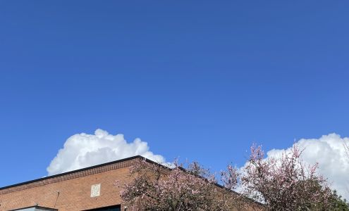 Shine Physical Therapy