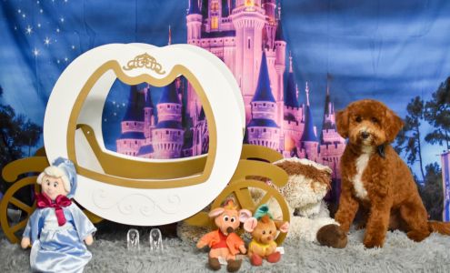 Picture Purrfect Pets 17550 East 90th St N, Owasso Oklahoma 74055