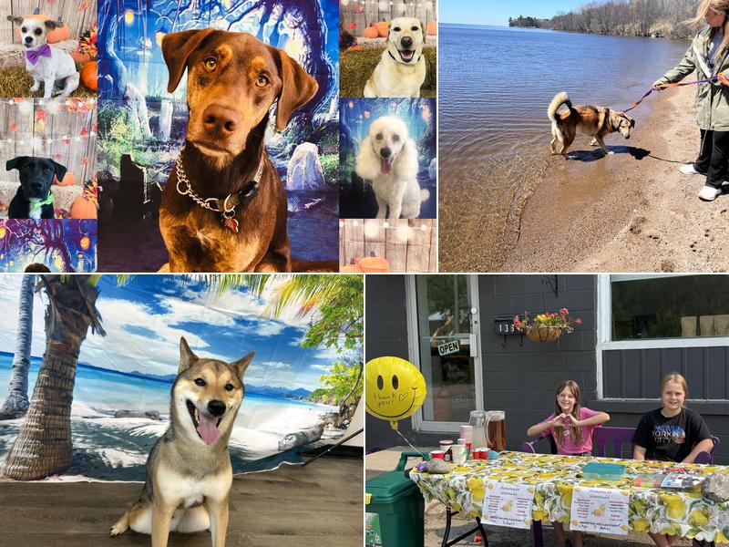 Pet Grooming By Kelly