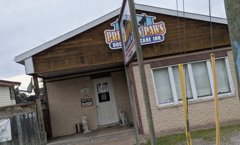 Precious Paws Doggie Daycare North Bay