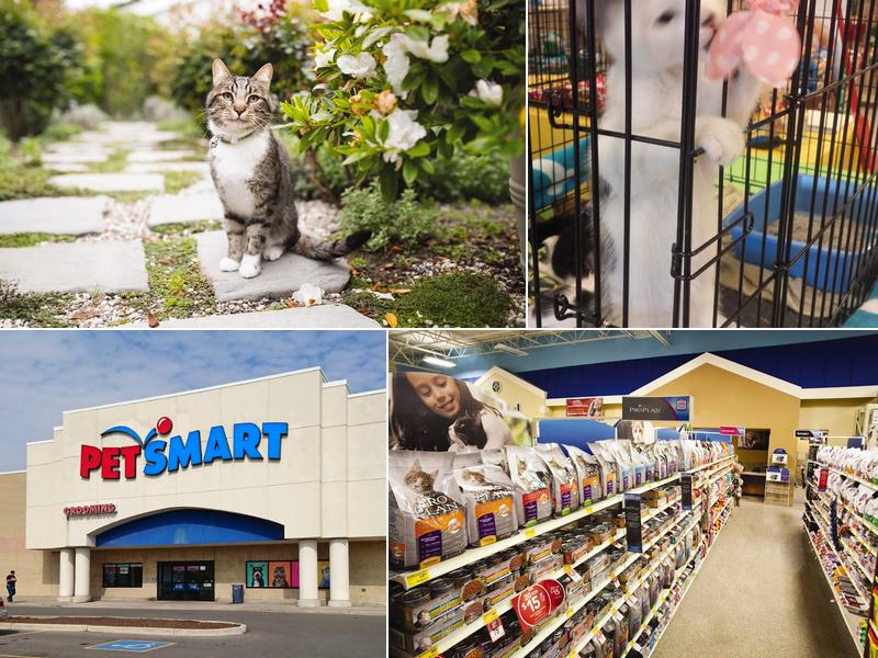 PetSmart