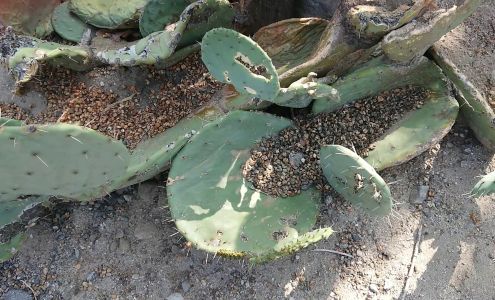 XPO Logistics/Technology