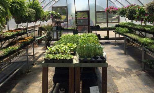 Peanuts Garden Center Ronda