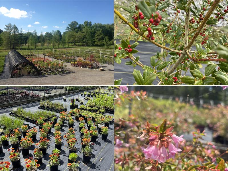 Witman Landscaping and Nursery