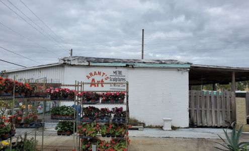 Blooming orchids nursery