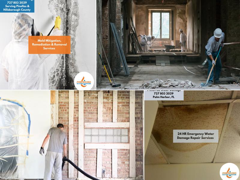 Preferred Water Damage