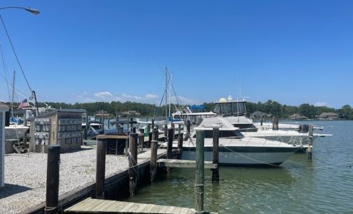 Mills Marina Seaford