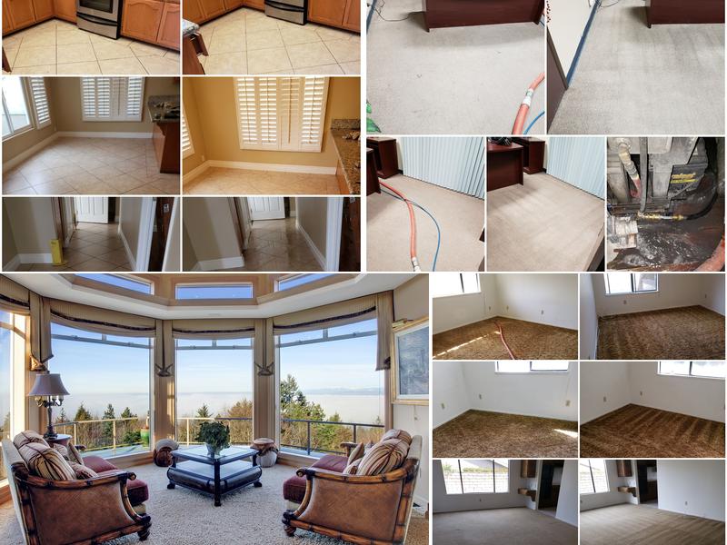 Complete & Quality Janitorial