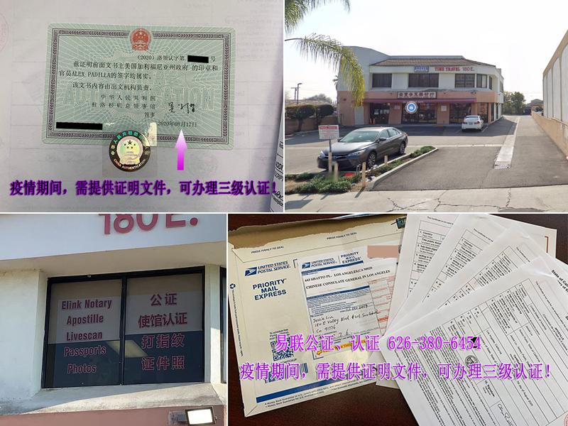 Elink Notary & Livescan & Passport Photo