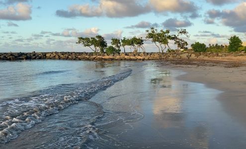 Bardge Notarizing LLC