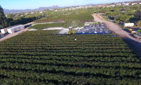 Arizona Pistachio Nursery, LLC