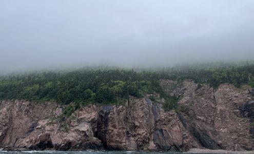 Ingonish Whale Watching Tours Ingonish Beach