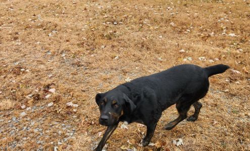 Washington Water Department Washington