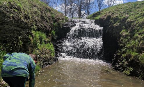 Veterans of Foreign Wars Confluence