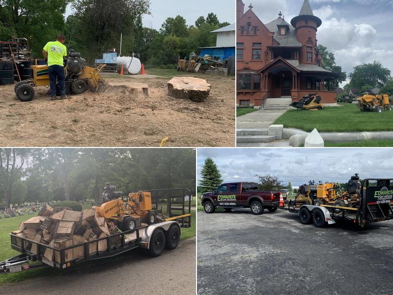 Edward's Stump Grinding & Grounds Management