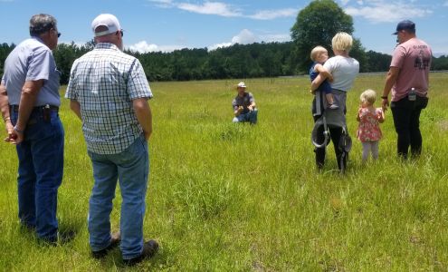 Harvest Hills Ranch Hillister