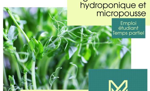 Vision-Travail Abitibi Ville-Marie