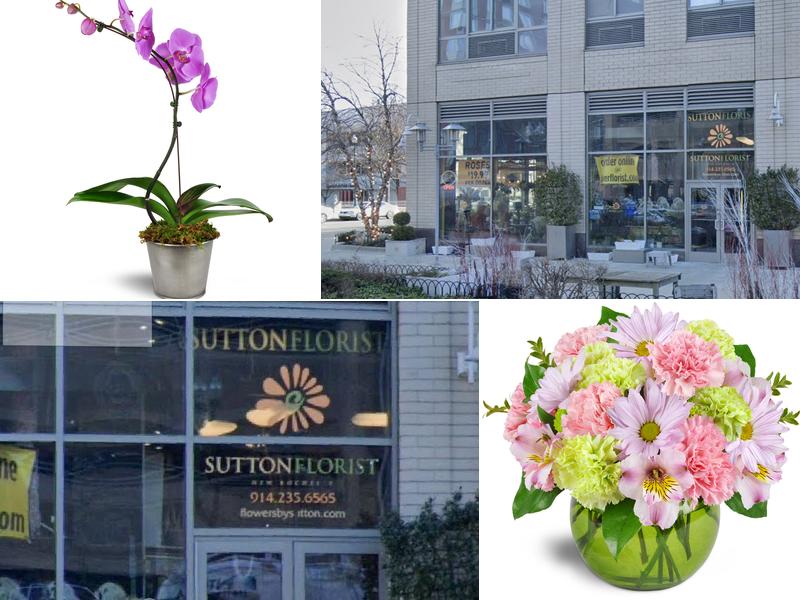 New Rochelle Florist