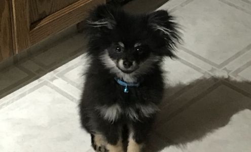 Kindersley Veterinary Clinic ( 1999) 1020 9 Ave W, Kindersley Saskatchewan S0L 1C0