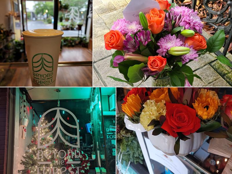 Beyond the Forest Saint Helen's, 245 S 1st St, St Helens