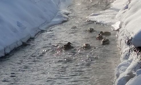 St Charles Catholic Church