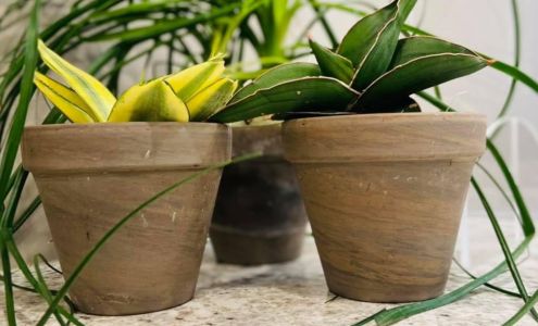 Munster Behavioral Health