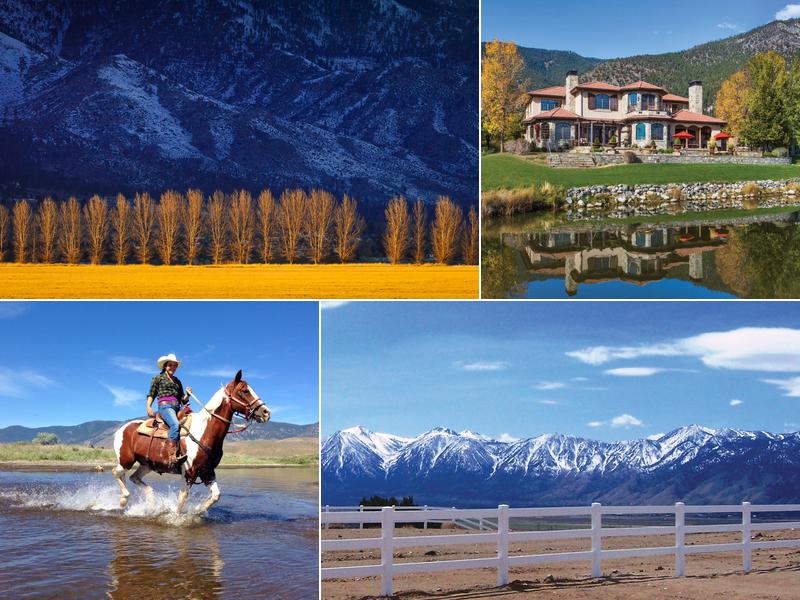 Chase International Real Estate | Carson Valley