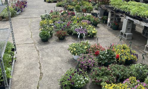 Mitch's Flower & Produce