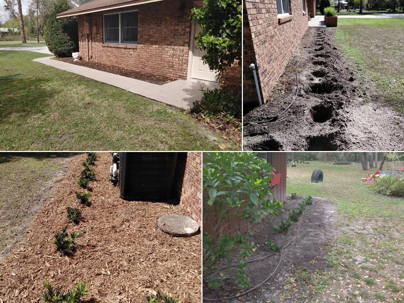 Tree of Life Landscape,LLC