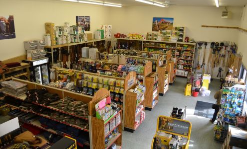 Valley Agronomics | Salmon Salmon