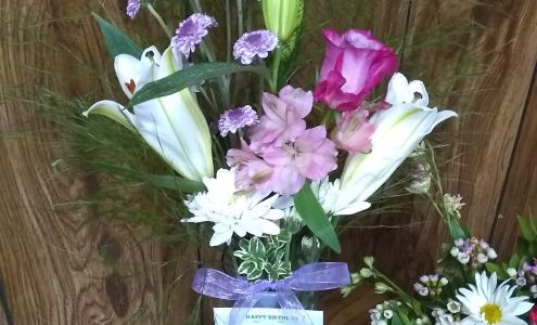 Salmon Valley Insurance LLC