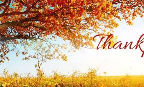 Chandra L. Ruhs Agency, LLC American Family Insurance