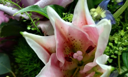 Bloom and Company 202 E Mark St, Marksville Louisiana 71351