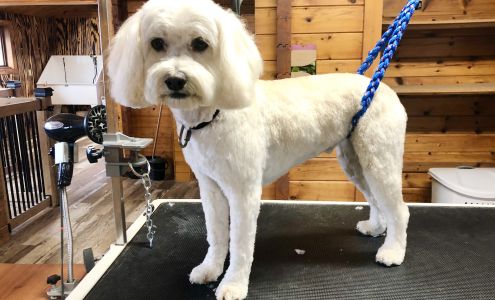 The Paw Spa Brockville