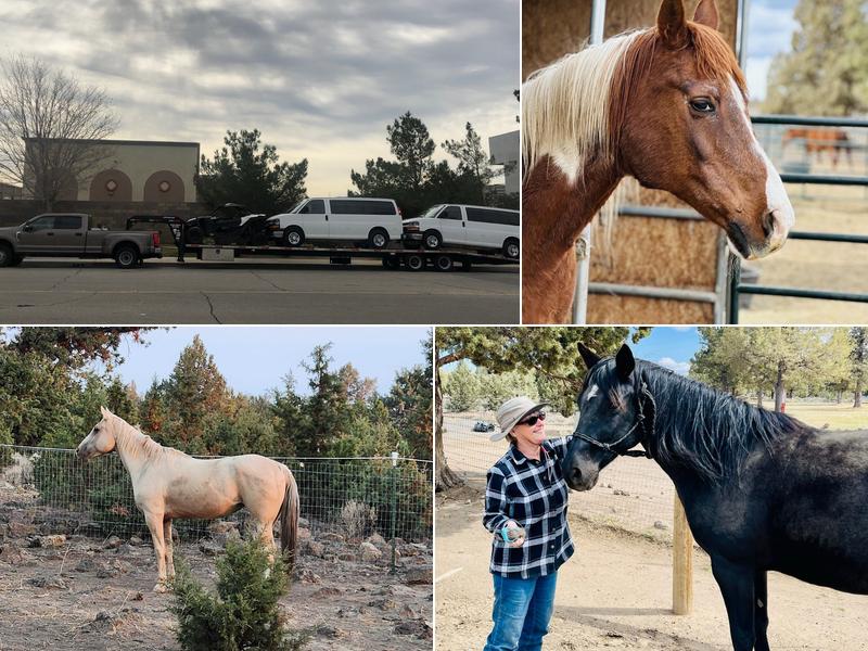 White Stream Transport