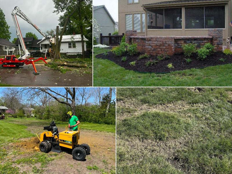 Creek Tree Service, Inc