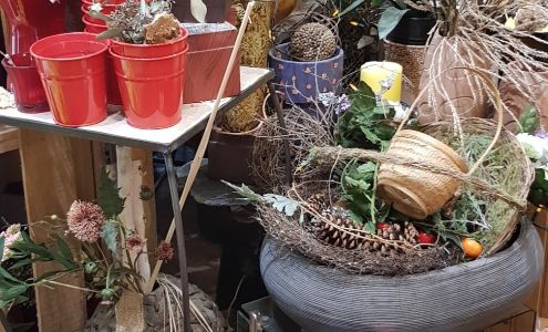 Lemon Tree Florist 111 Main St N, Dauphin Manitoba R7N 1C1