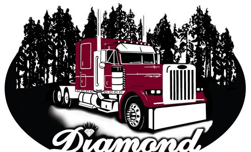 Diamond Polish and Detail LLC 1118 Center St Suite 100, North Mankato Minnesota 56003