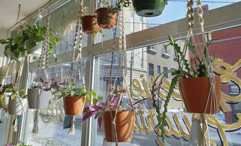 Rosette Trois-Rivieres