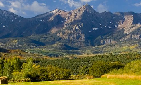 Nest Home Lending, LLC