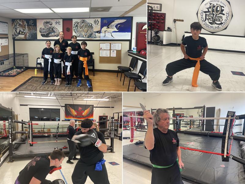 5 Animal Fist Kung Fu