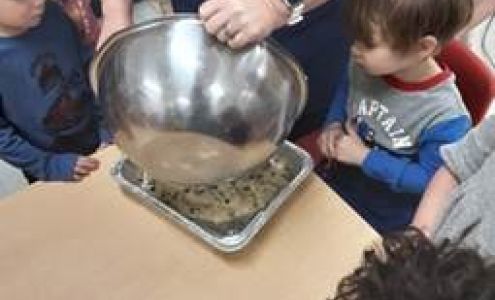 Little Peoples Landing Learning Center - Louisville