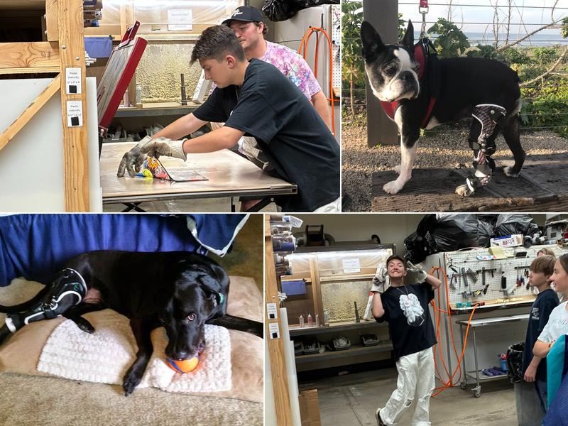 OrthoPets Veterinary Orthotics and Prosthetics Center