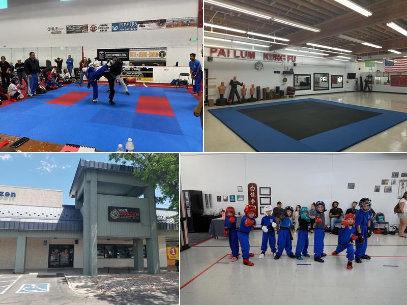 Pai Lum White Dragon Martial Arts